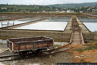 Sečoveljské soliny (Slovinsko)