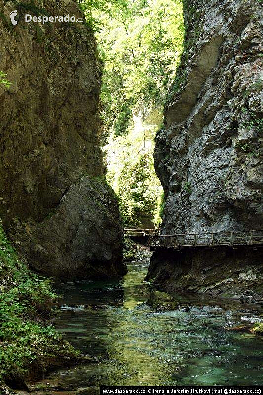Soutěska Vintgar (Slovinsko)