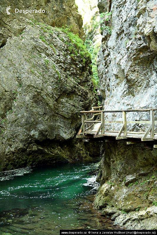 Soutěska Vintgar (Slovinsko)