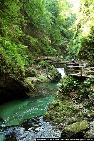 Soutěska Vintgar (Slovinsko)