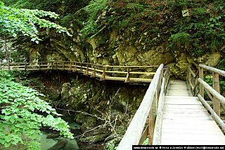 Soutěska Vintgar (Slovinsko)