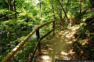 Soutěska Vintgar (Slovinsko)