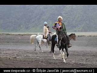 Probolinggo (Indonésie)