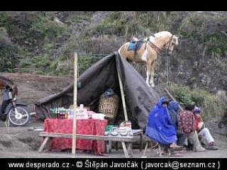 Probolinggo (Indonésie)