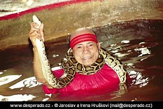 Chiang Mai (Thajsko)