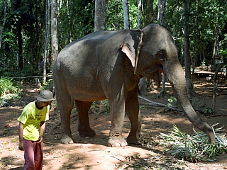 Kudy kam – Ko Chang a Trat