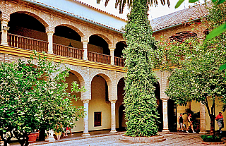 Córdoba (Andalusie - Španělsko)