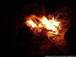 Oáza Bahríja (Egypt)