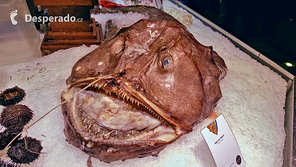 Tržiště Mercado de San Miguel v Madridu (Španělsko)