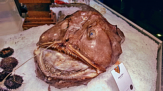 Tržiště Mercado de San Miguel v Madridu (Španělsko)