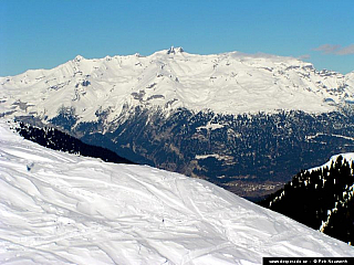 Alpmora Ringel (Švýcarsko)