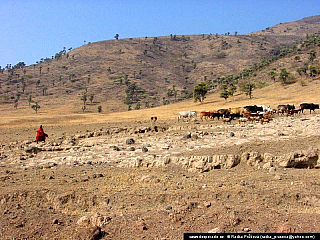 Ngorongoro (Tanzánie)