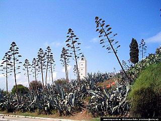 Sidi Bou Said (Tunisko)