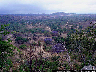 Zimbabwe