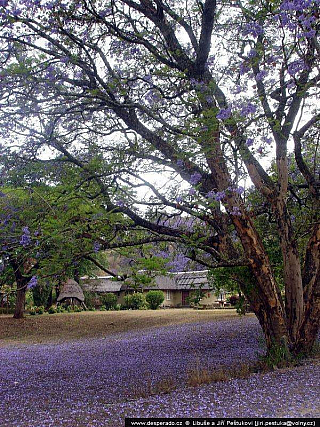 Zimbabwe