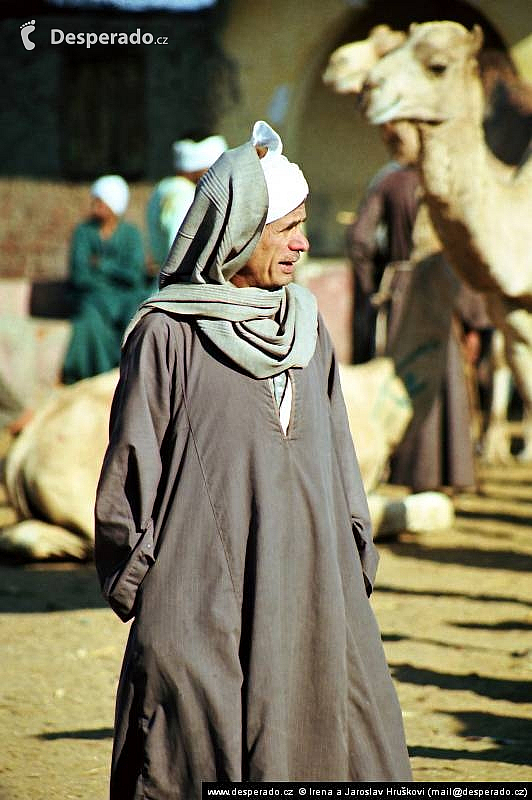 Birkáš - velbloudí trh (Egypt)