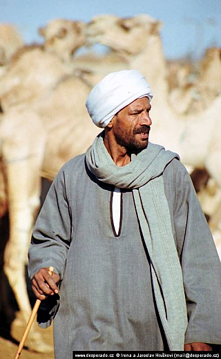 Birkáš - velbloudí trh (Egypt)