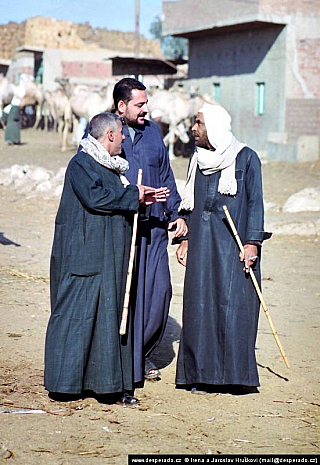 Birkáš - velbloudí trh (Egypt)