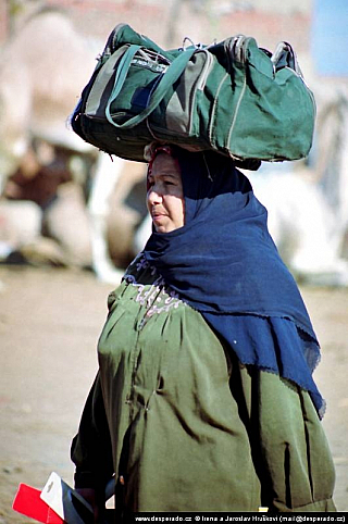 Birkáš - velbloudí trh (Egypt)