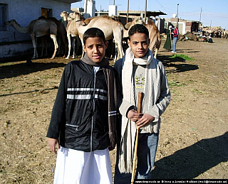 Birkáš - velbloudí trh (Egypt)