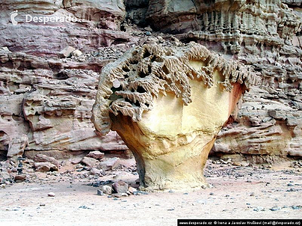 Sinajská poušť (Egypt)