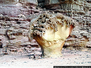 Sinajská poušť (Egypt)