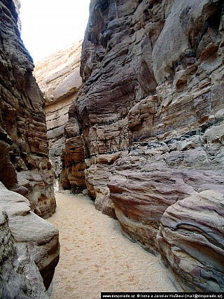 Sinajská poušť (Egypt)