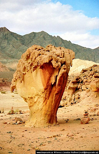 Sinajská poušť (Egypt)