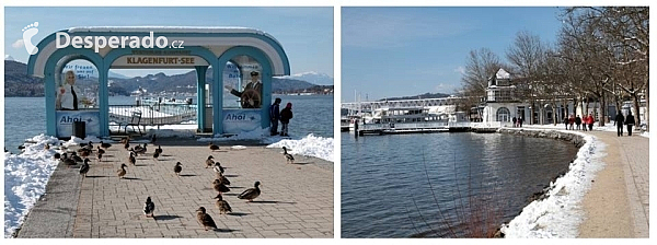 Jezero Wörthersee v Korutanech (Rakousko)