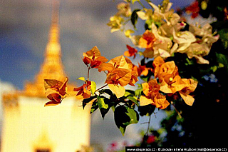 Královský palác v Phnompenh (Kambodža)