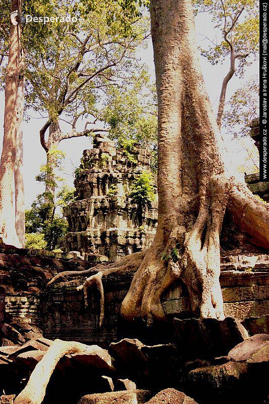 Chrámový komplex Angkor (Kambodža)