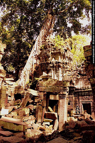 Chrámový komplex Angkor (Kambodža)