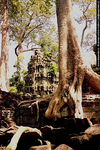 Chrámový komplex Angkor (Kambodža)