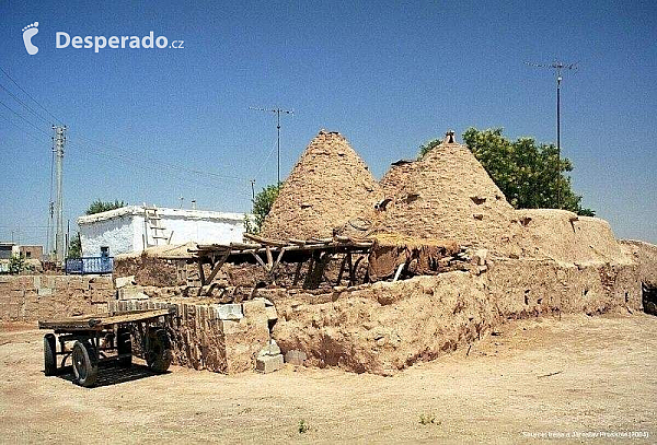 Harran (Turecko)