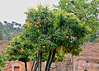 Alhambra - středověký komplex paláců a pevností nad Granadou (Andalusie - Španělsko)