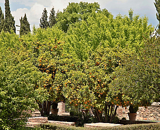 Alhambra - středověký komplex paláců a pevností nad Granadou (Andalusie - Španělsko)