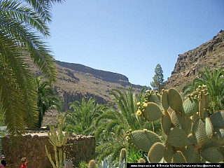 Gran Canaria (Kanárské ostrovy - Španělsko)