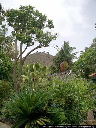 Gran Canaria (Kanárské ostrovy - Španělsko)