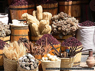 Stará Hurghada (Egypt)