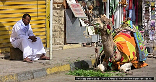 Stará Hurghada (Egypt)