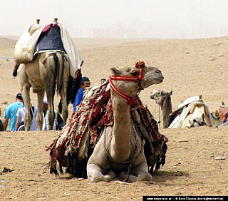 Káhira (Egypt)