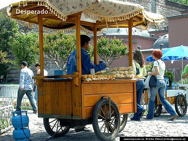 Istanbul (Turecko)