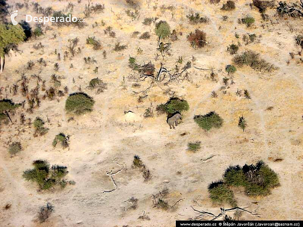 Botswana