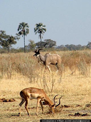 Botswana