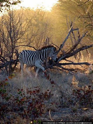 Botswana