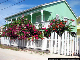 Caye Caulker (Belize)