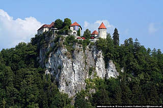 Jezero Bled (Slovinsko)