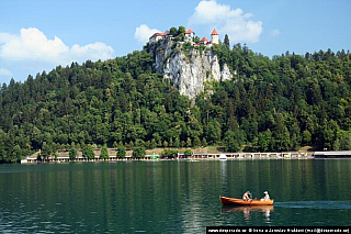 Jezero Bled (Slovinsko)