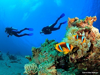 Korálové útesy v Rudém moři (Egypt)