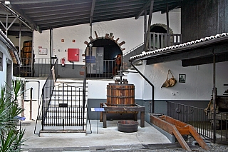 Funchal (ostrov Madeira - Portugalsko)